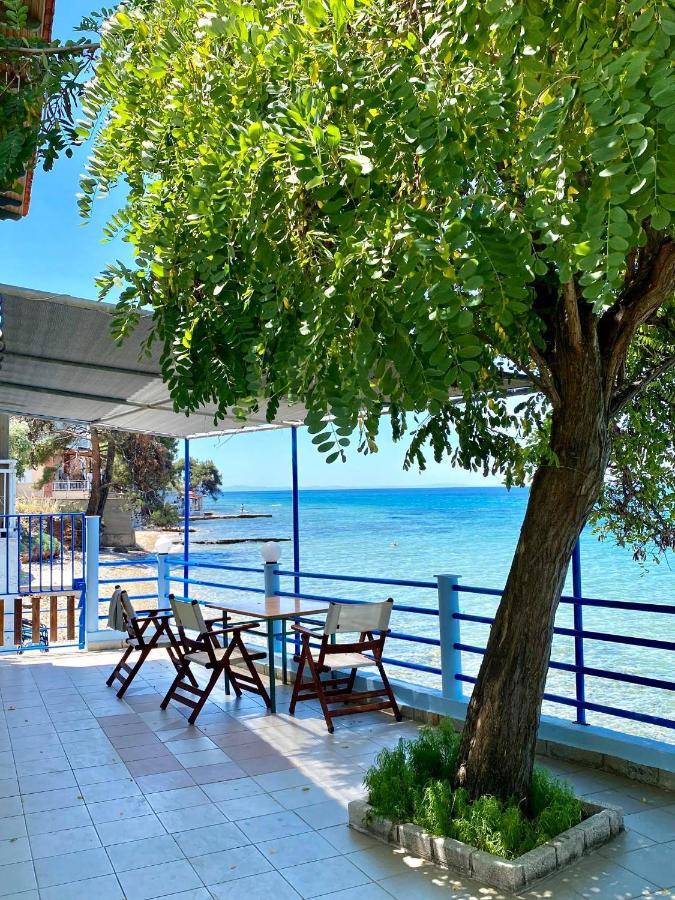 Manolis Studios Thassos Skála Kallirákhis المظهر الخارجي الصورة
