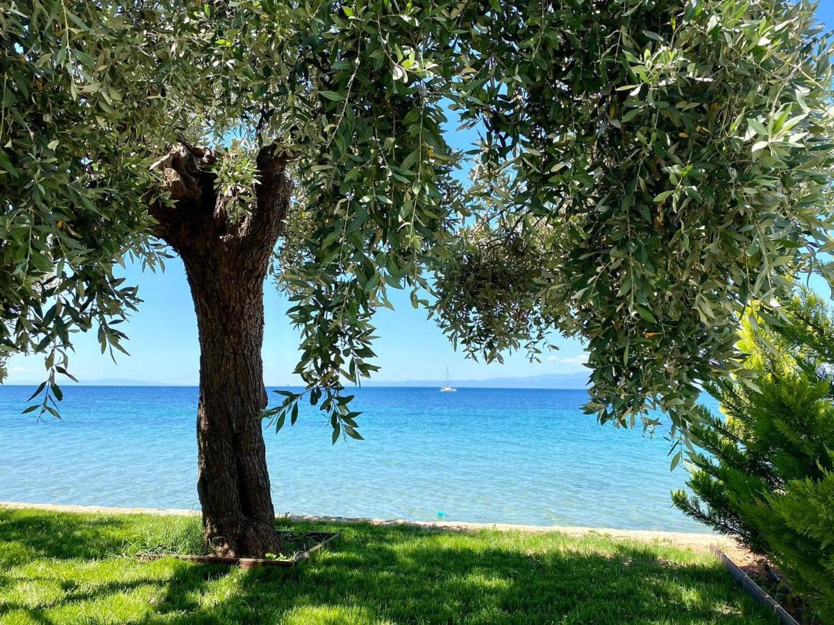 Manolis Studios Thassos Skála Kallirákhis المظهر الخارجي الصورة