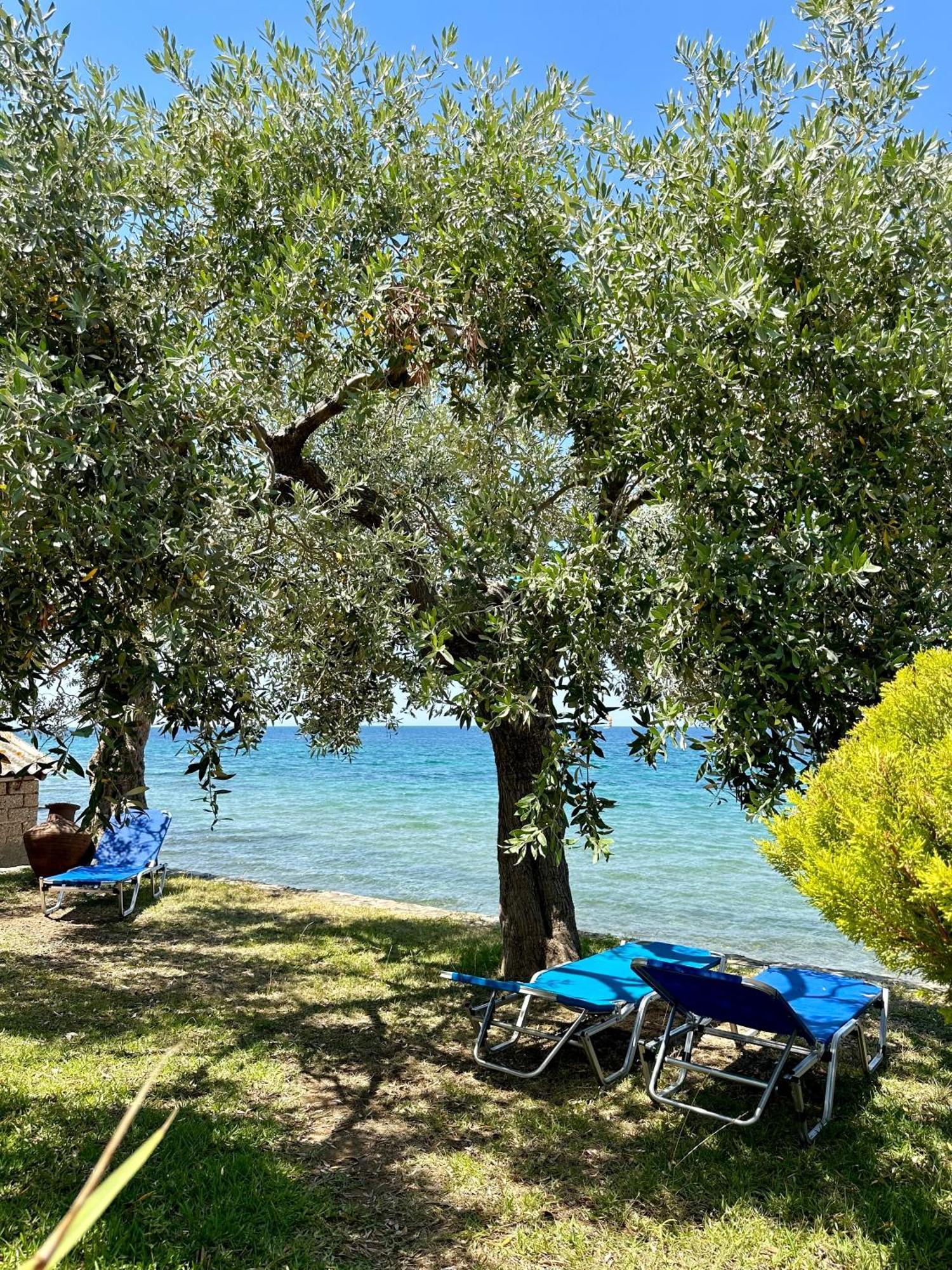 Manolis Studios Thassos Skála Kallirákhis المظهر الخارجي الصورة